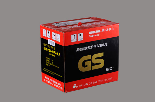 GS(80D26L)