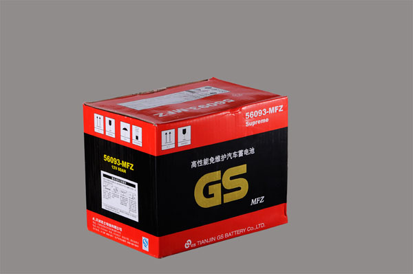 GS(56093)