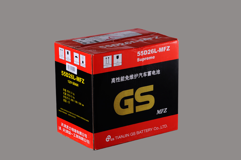 GS(55D26L)